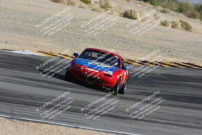 media/Feb-18-2024-Nasa AZ (Sun) [[891db5b212]]/7-Race Group A/Session 1 Turn 12 Exit-Bowl Entry/